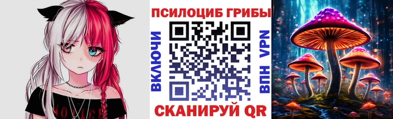 что такое   Пугачёв  Псилоцибиновые грибы мицелий 